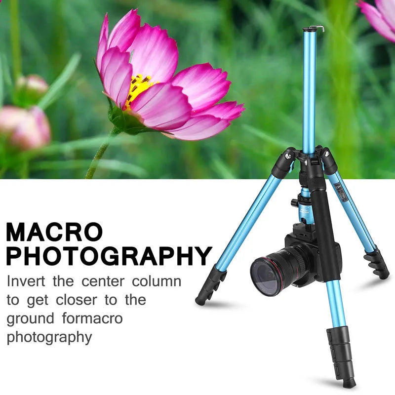 CT62 Travel-Friendly Camera Phone Stand